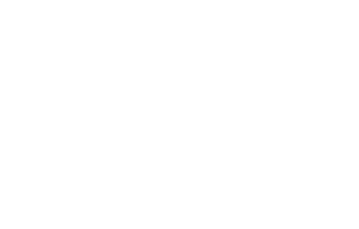 Seminole 100