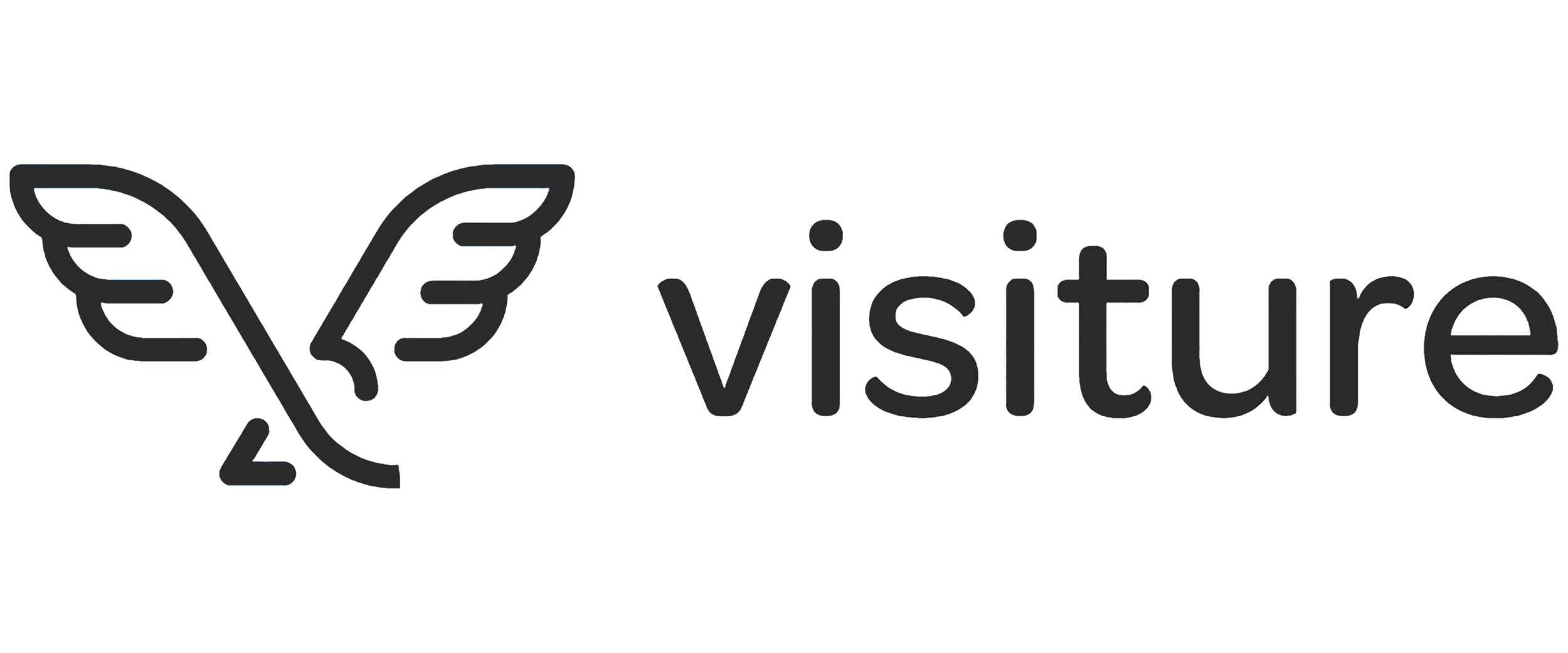 Visiture Logo