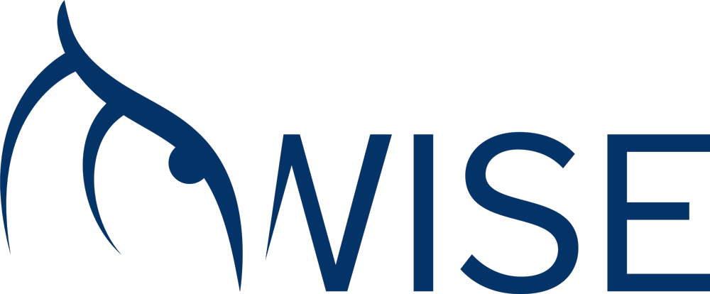 Wise Property Management Logo
