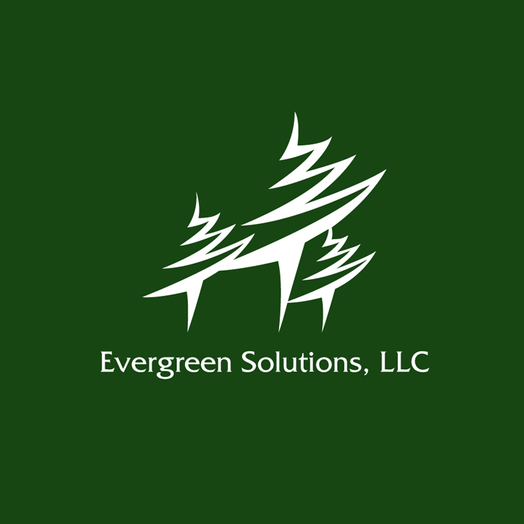  Evergreen Solutions Logo